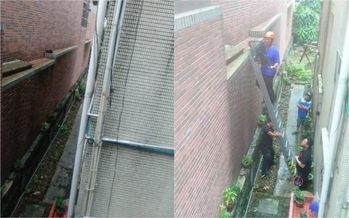 民宅外有一隻貓咪受困在2樓高的鳥踏處，動保員與消防員攜手完成救援(右)。 新北市動保處/提供
