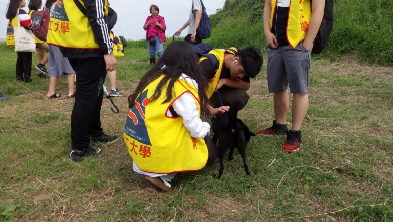 淡江大學服務學習課程，讓學生們到動物之家當志工。 新北市動保處/提供