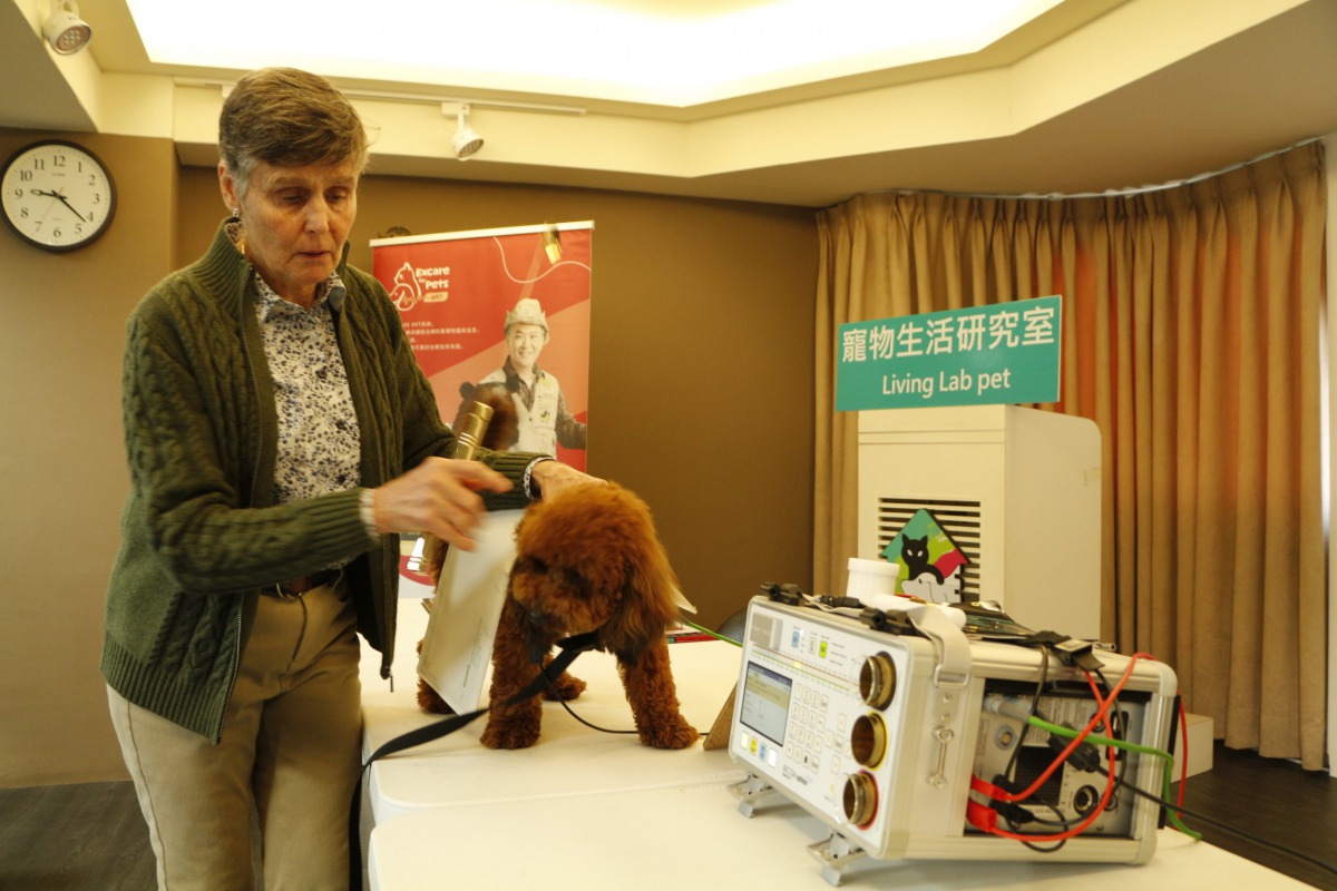 全國動物醫院透過生物共振儀醫療系統提高毛小孩病症的治癒力。 全國動物醫院/提供