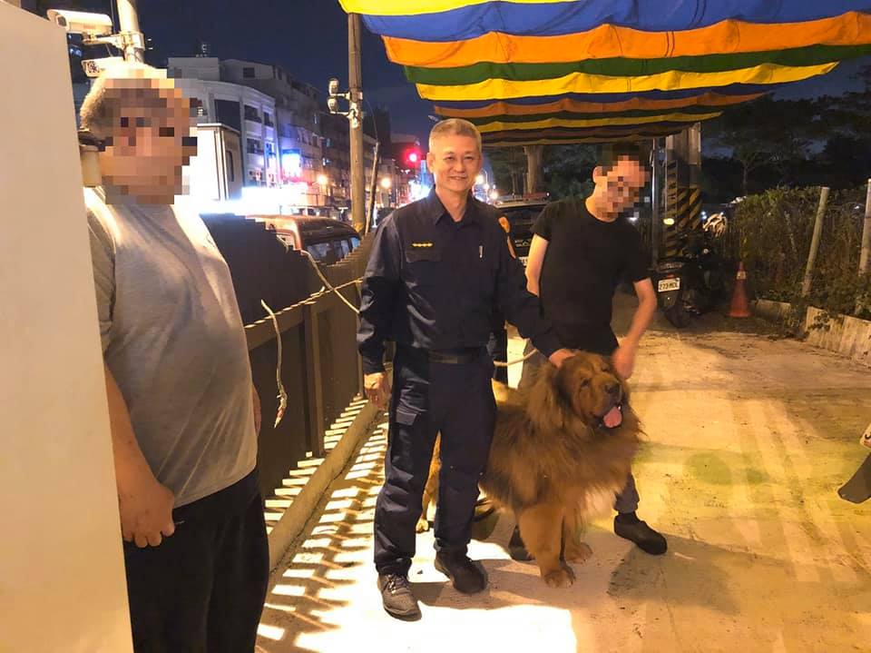 獒犬走失被民眾送到派出所,親人的牠依偎在員警身旁。 鳳山警分局文山派出所/提供