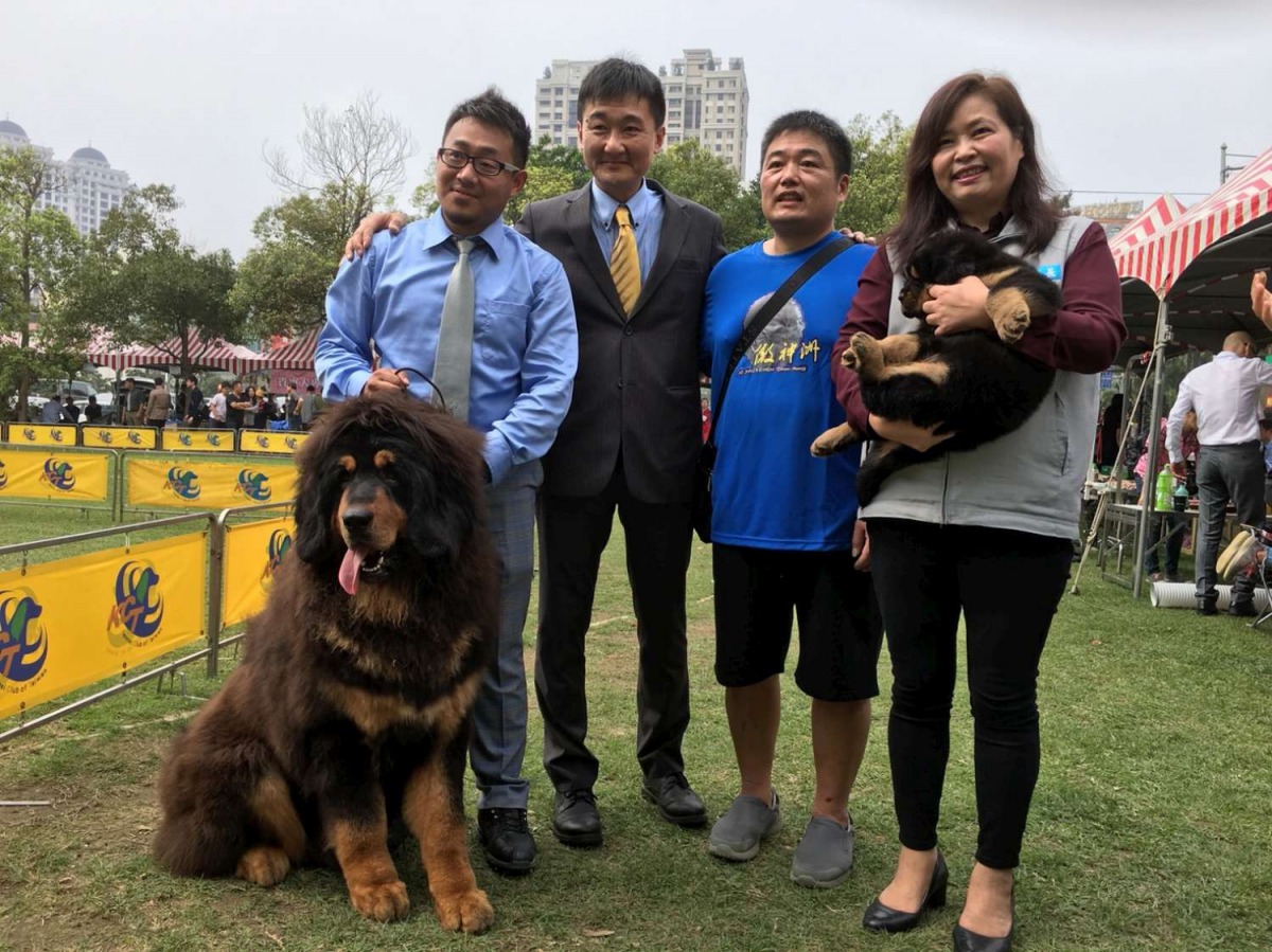 「2018風城名犬國際菁英賽」在新竹北大公園盛大登場。 新竹動防所/提供
