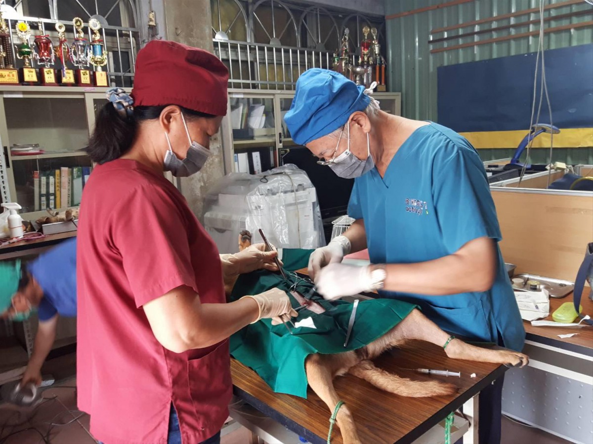 高雄原鄉地區里長與動保處合作,在里辦公室辦理犬貓絕育等活動。 高雄市動保處/提供