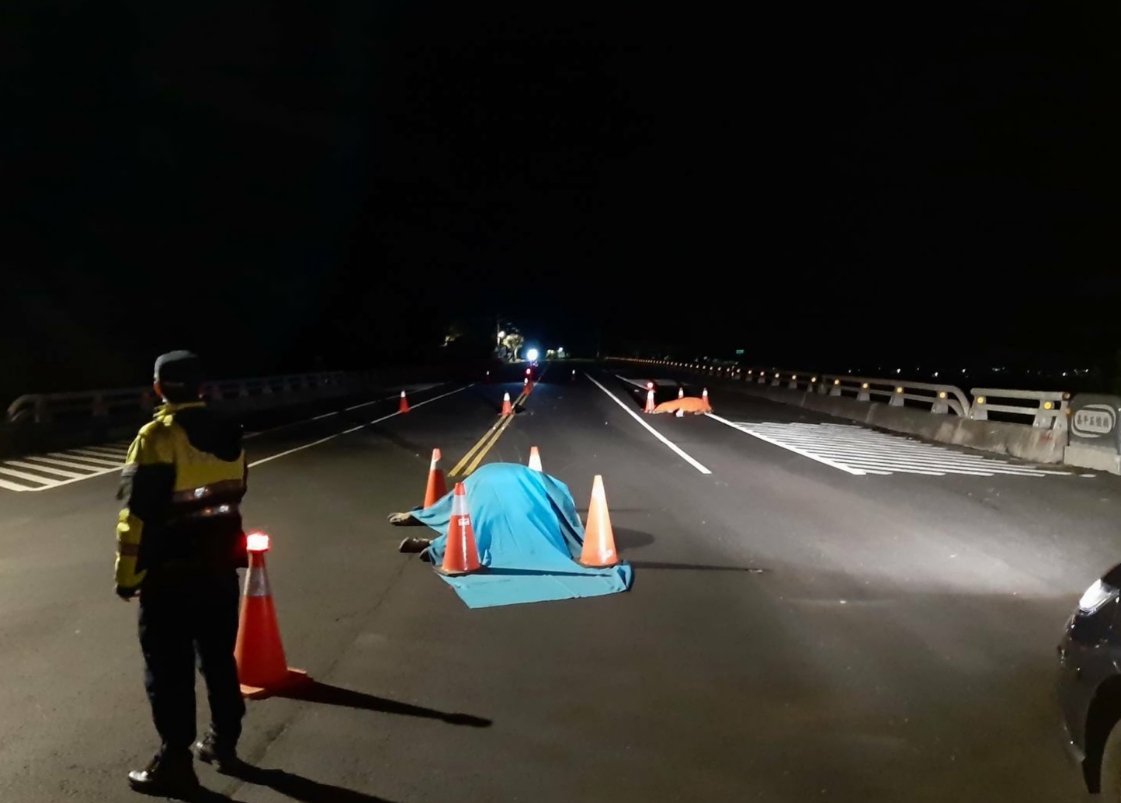 民眾開車行經台11線120公里處嘉平5號橋時，意外撞到2頭跑到路上的牛隻，造成牛隻當場死亡。 台東縣政府/提供