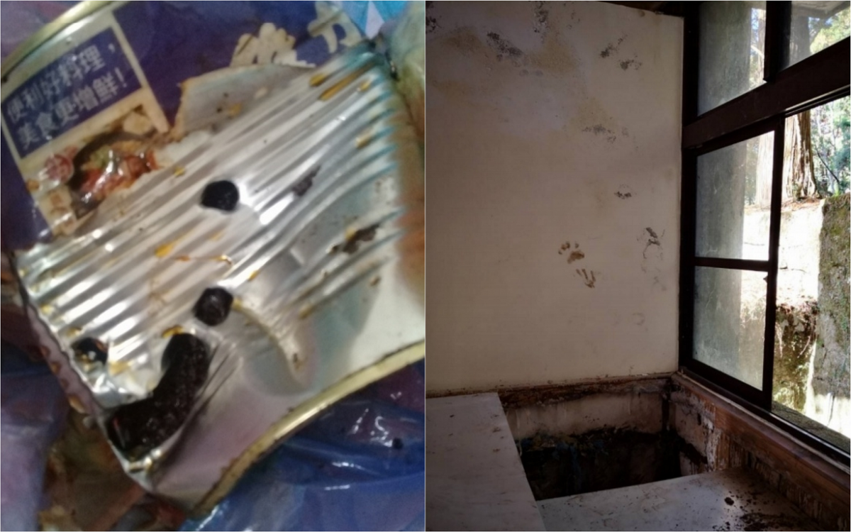 玉山楠梓仙溪保育研究站內的罐頭被臺灣黑熊破壞的痕跡(左),以及牆上的掌印(右)。 玉山國家公園管理處/提供