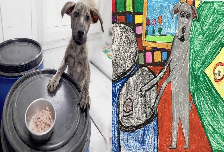 新市國小的孩童替淡水動物之家收容的犬隻畫畫，藉此提高曝光機會。 新北市動保處/提供