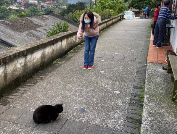 為了維護猴硐貓咪健康，呼籲民眾「以拍照代替逗弄」。 新北市動保處/提供