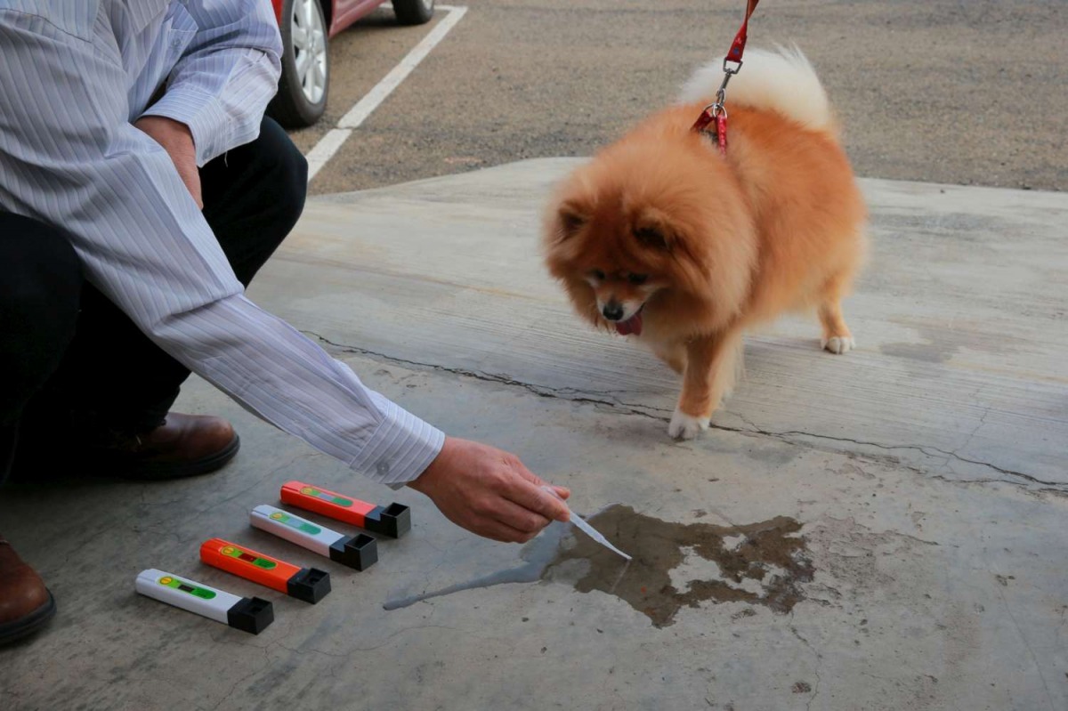 新竹市政府補助中小企業研發犬貓尿液檢測筆，讓飼主可以輕鬆掌握毛小孩腎臟健康。 新竹市政府/提供