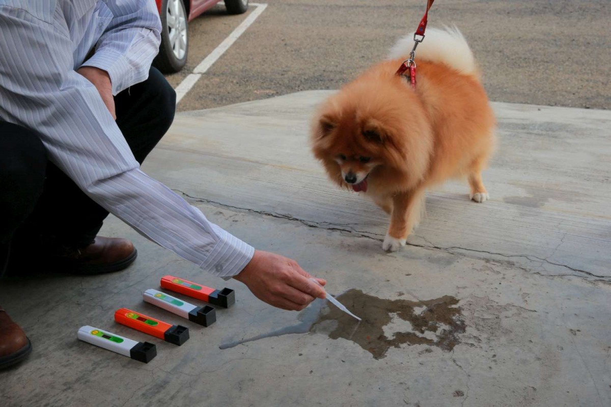 新竹市政府補助中小企業研發犬貓尿液檢測筆，讓飼主可以輕鬆掌握毛小孩腎臟健康。 新竹市政府/提供