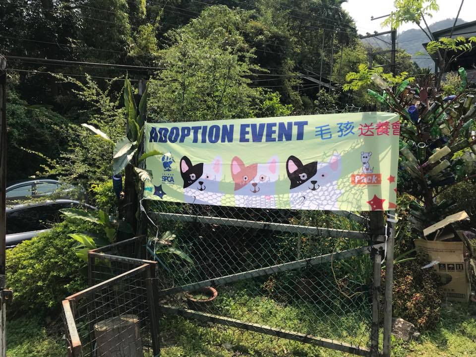 TSPCA、The PACK Sanctuary、新北市動保處合作舉辦毛孩日活動。 姚崇仁/攝