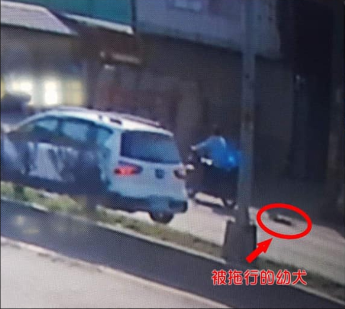 一名老伯用鐵鍊及捕獸夾將幼犬摔在機車後面拖行。 翻攝/宜蘭關懷動物協會