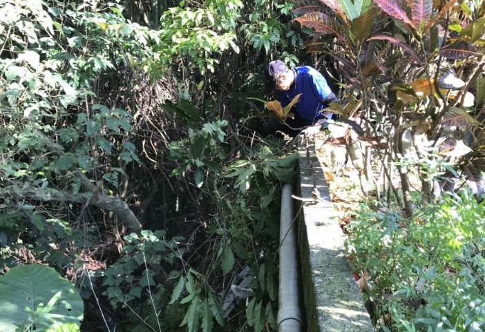 動保員救援摔落山坡的犬隻。 新北市動保處/提供