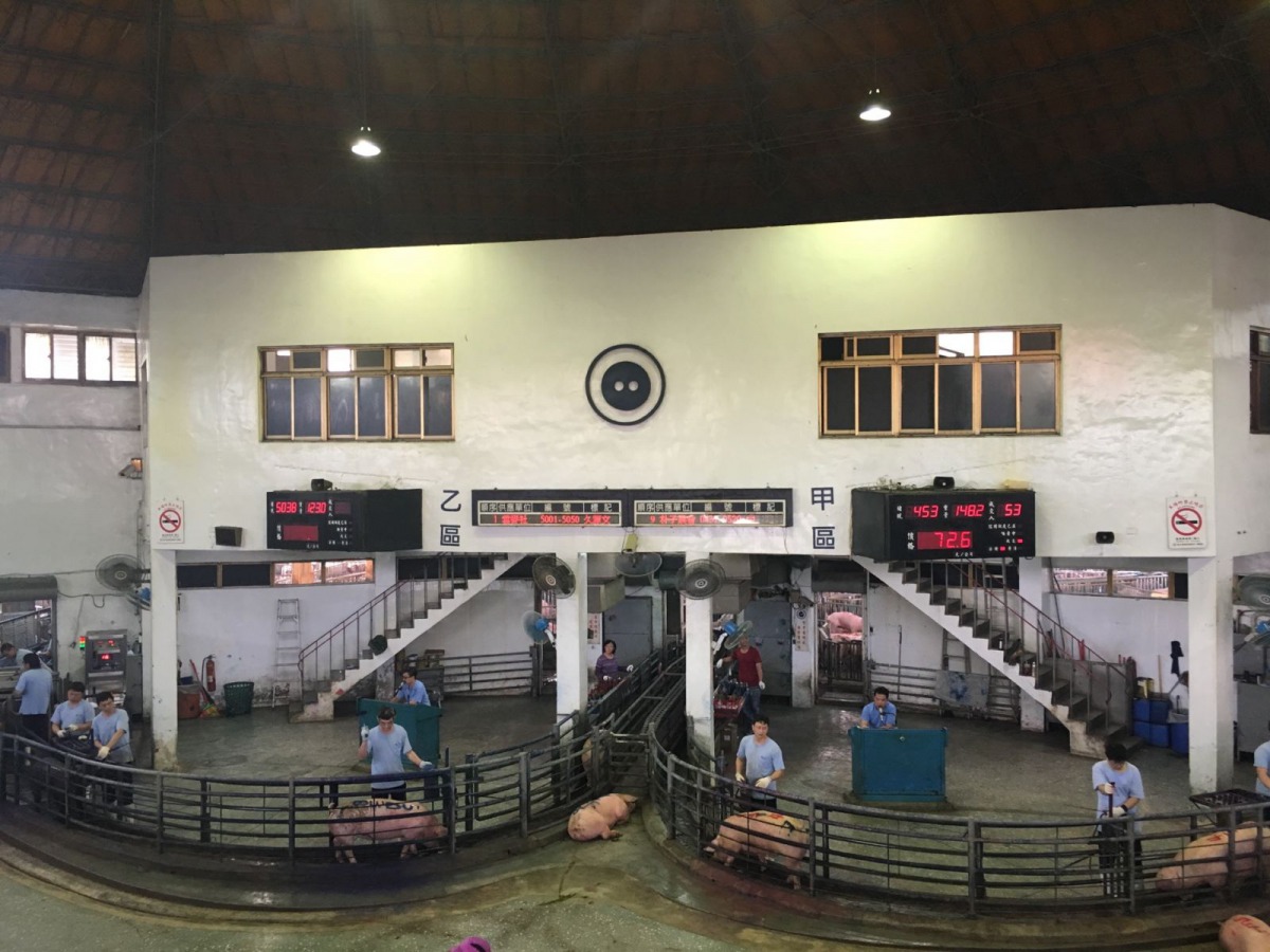 新北市肉品市場對所有豬隻嚴格把關。 新北市動保處/提供