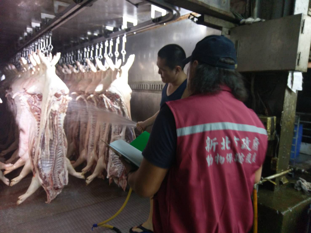 為防堵非洲豬瘟運豬車都必須加裝GPS，7月勸導期過後8月1日開始依法開罰。 新北市動保處/提供