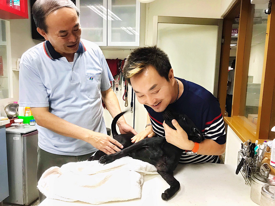 遭遇車禍後，又歷經2是大手術的「天嬌」最後由藝人楊懷民(右)帶回安置。 新北市動保處/提供