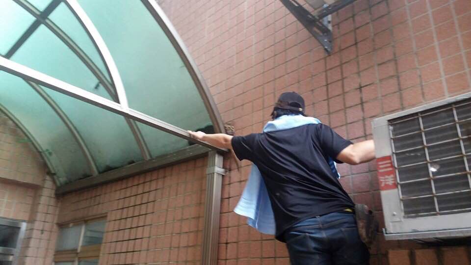 動保員救援受困於遮雨棚的虎斑浪貓。 新北市動保處/提供