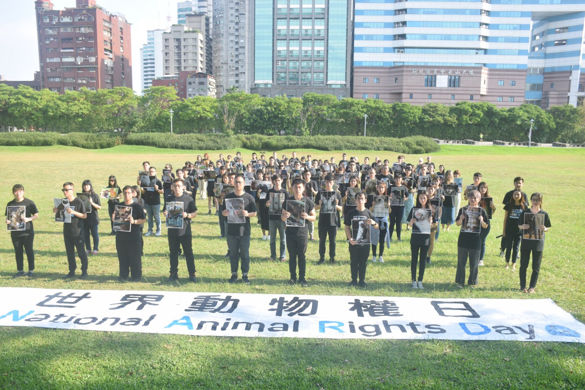 昨(3)天為世界動物權日，台北共聚集了上百位民眾響應活動。 姚崇仁/攝