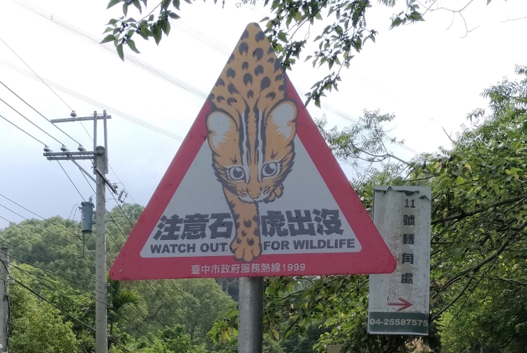 台中市政府在石虎出沒的熱點區設置石虎出沒告示牌。 台中市政府/提供