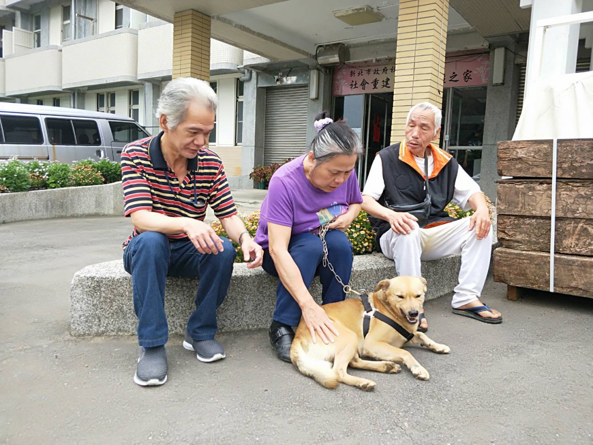 社區重建中心的「小黃」備受長者們喜愛。 新北市動保處/提供