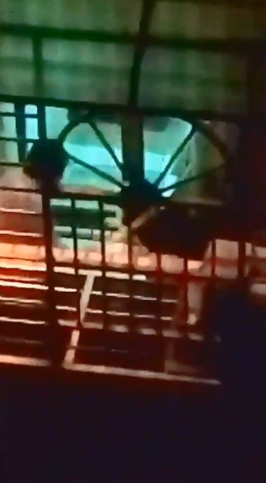 24日新北土城有名男子持棍棒敲打狗狗。 擷取自臉書