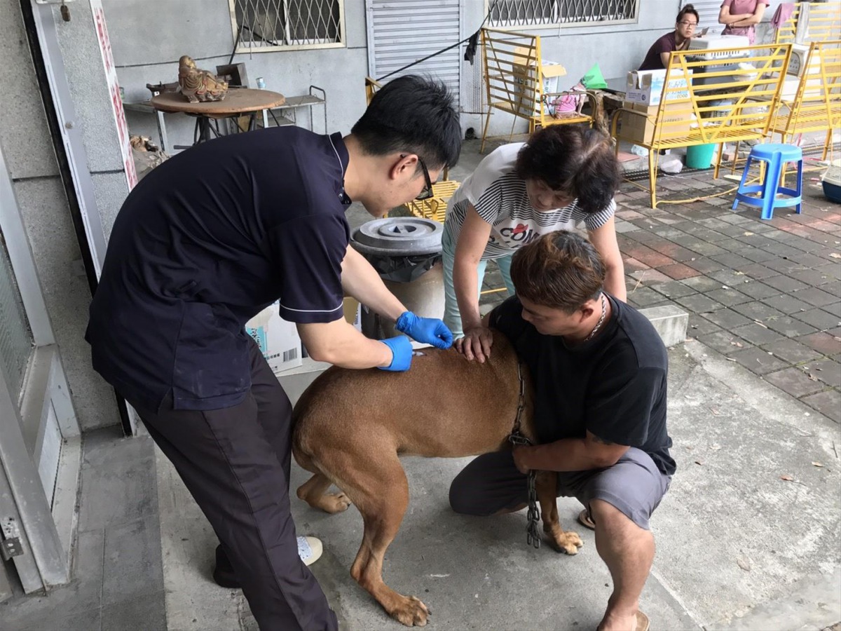 高雄動保處將自7月開始執行原鄉地區狂犬病疫苗注射計畫。 高雄動保處/提供