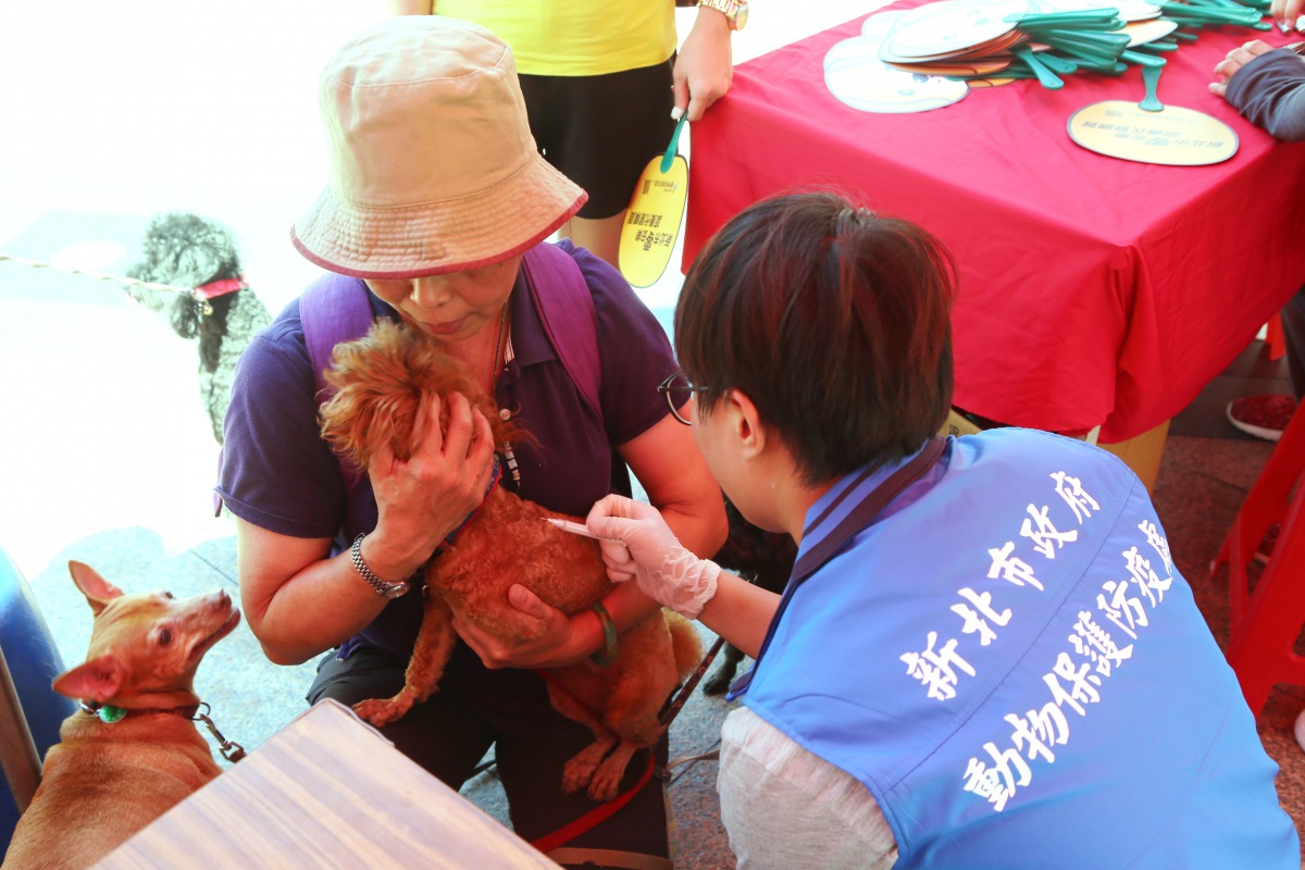 新北市動保處今年舉辦72場偏鄉地區狂犬病疫苗注射活動。 新北市動保處/提供