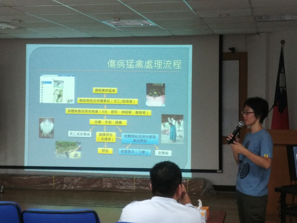 台灣猛禽研究會講師到北市動保處解傷病猛禽處理流程。 台北市動保處/提供