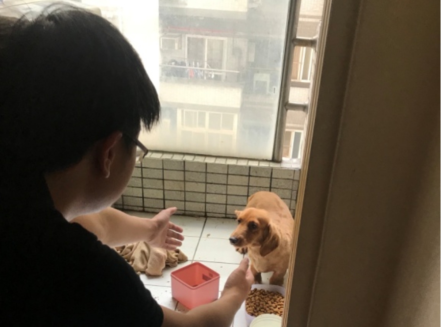 新店區傳出虐狗案件，新北市動保處立刻派員調查。 新北市動保處/提供