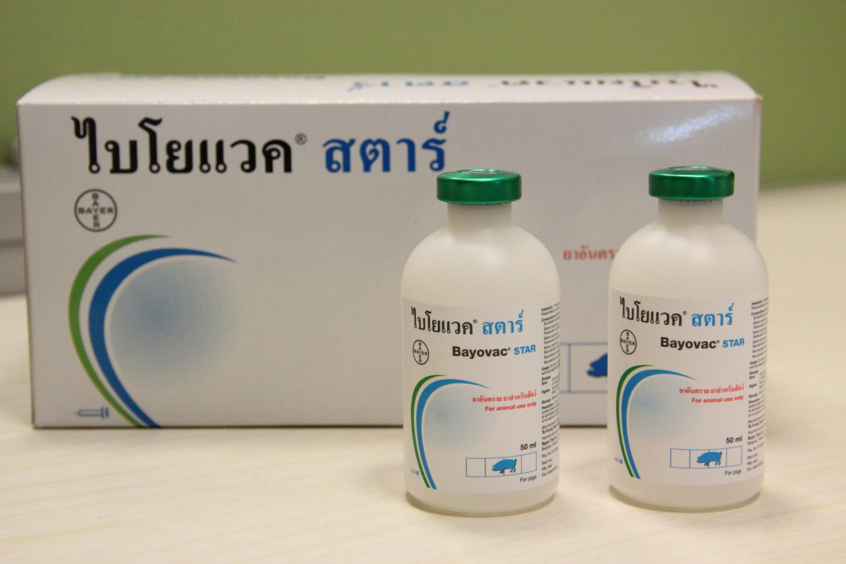 台灣拜耳生產的「次單位豬萎縮性鼻炎疫苗」首度進軍泰國市場。 業者/提供