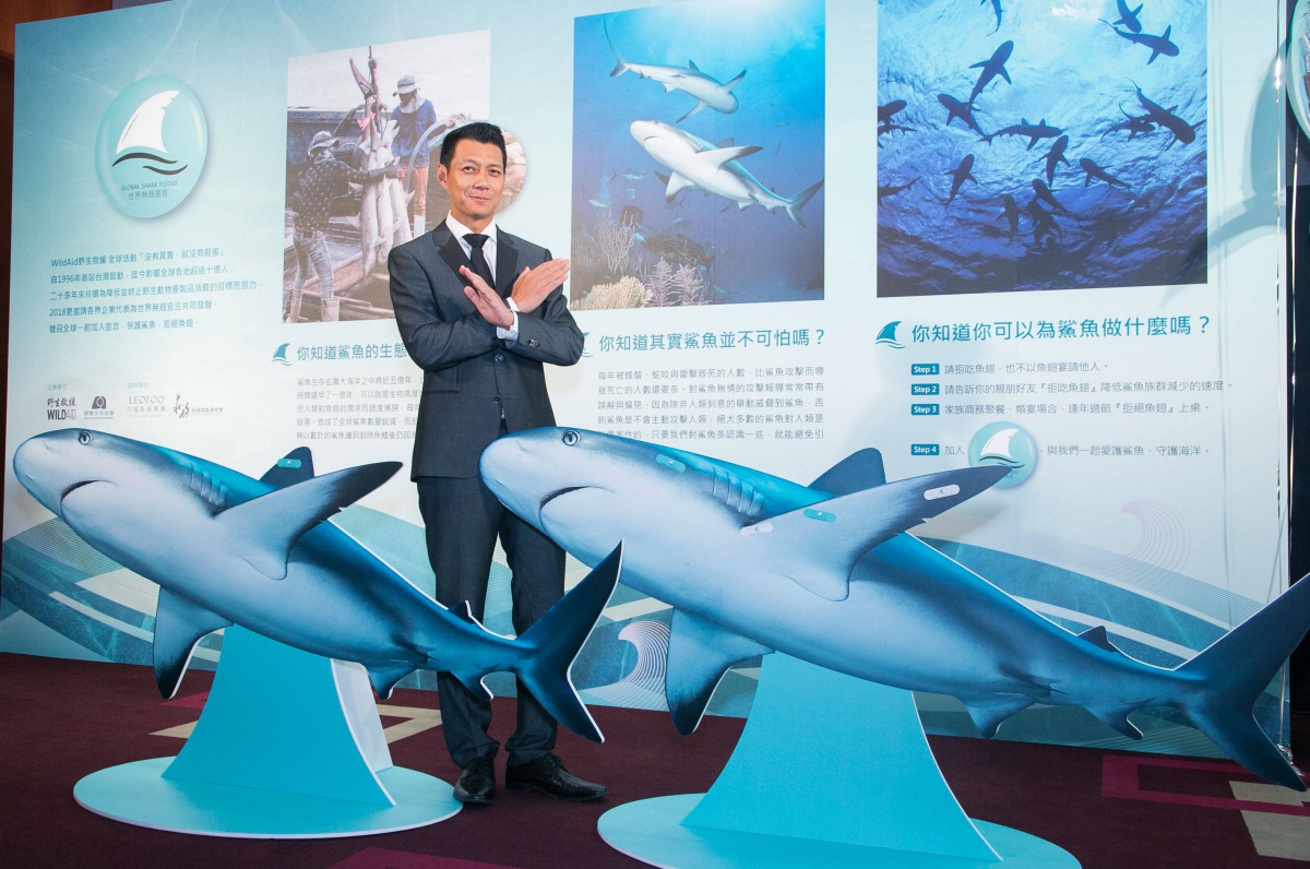 WildAid野生救援推出「世界無翅宣言」連署平台，藝人聶雲也現身呼籲民眾「沒有買賣就沒有殺害」。 WildAid/提供