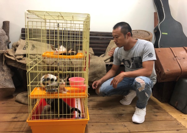 瑞芳區龍山里里長為減少里內流浪貓數量，與動保處合作執行TNVR。 新北市動保處/提供