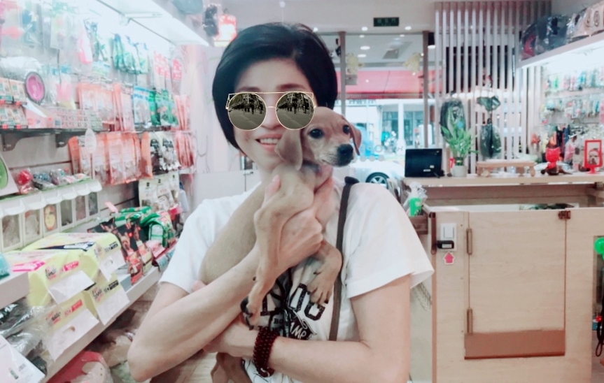 可愛的浪浪透過愛心小站順利找到主人。 可麗愛犬美容屋/提供