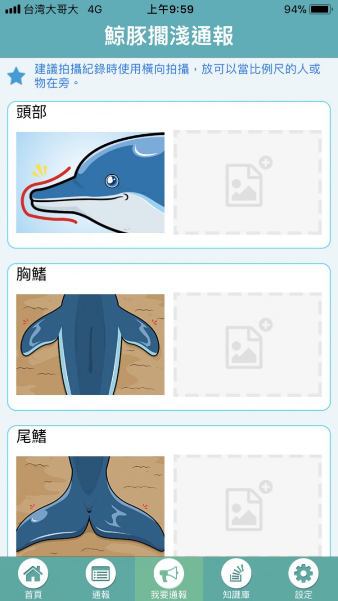 「鯨豚擱淺通報」可以有效提升救援擱淺鯨豚的成功率。 截圖自app介面