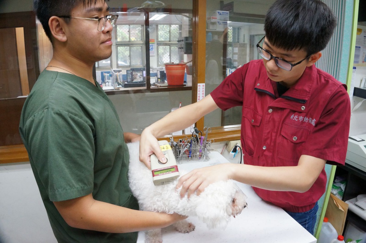新北市一名李姓飼主想幫愛犬除戶卻發現當初寵登時沒有登錄成功。 示意圖並非當事犬隻 新北市動保處/提供