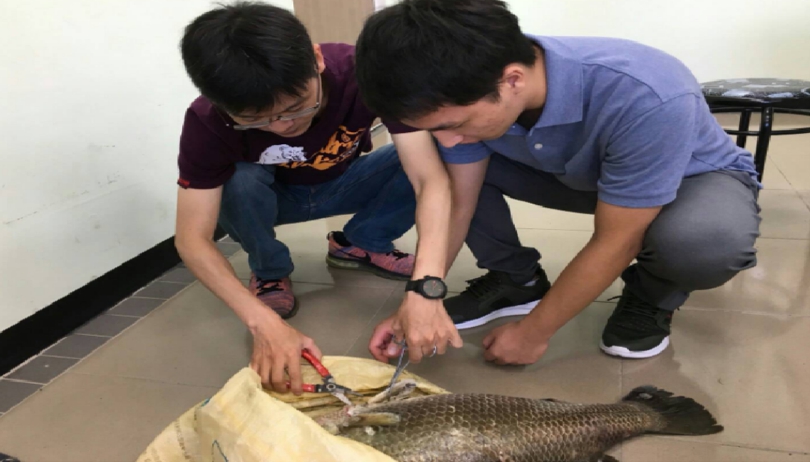 高雄市動保處人員帶著獸醫系學生診斷養殖戶魚隻。 高雄市動保處/提供