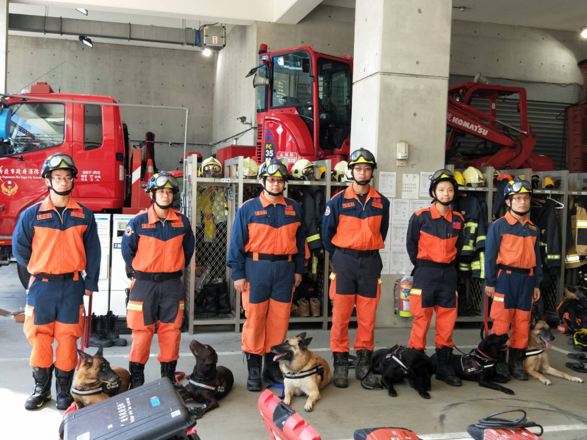 印尼強震發生後新北市消防局立刻集結6隻搜救犬出發協助救援。 新北市消防局/提供