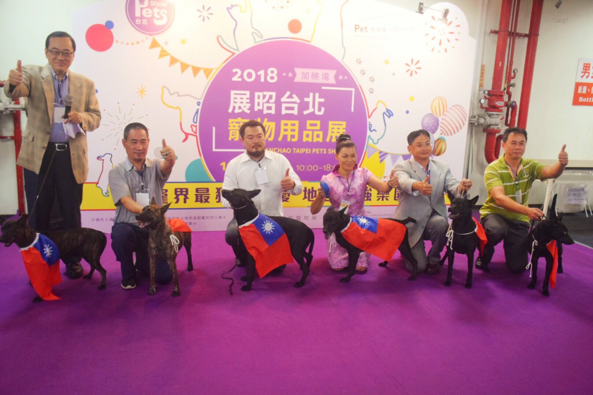 展昭寵物用品展的第一天開幕儀式上邀請到6隻純種台灣犬慶祝正名的三週年以及即將到來的雙十國慶。 姚崇仁/攝