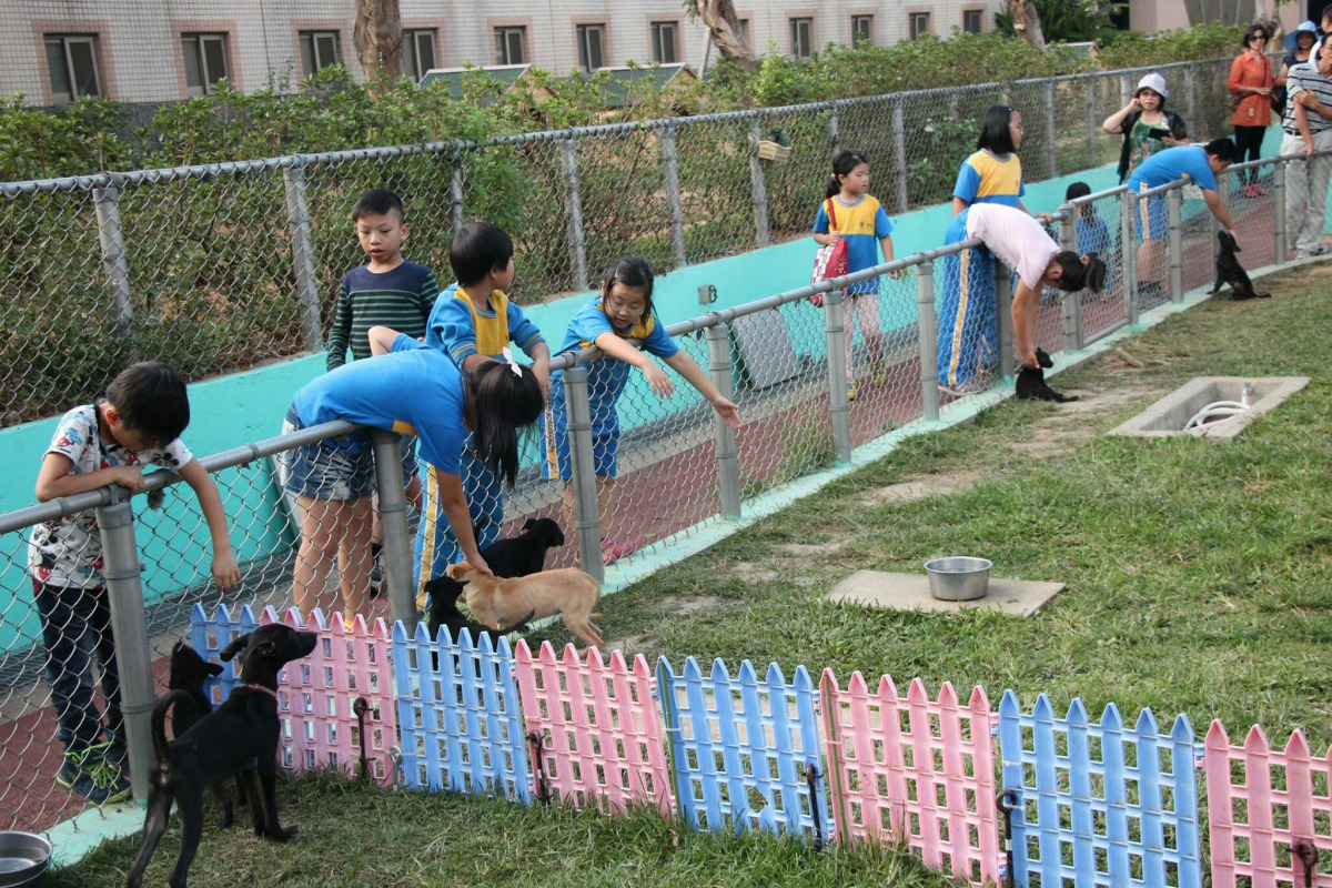 台中市政府以多管齊下的方式提升愛護動物觀念。 圖為民眾到台中動物之家與待認養浪犬互動 台中市動保處/提供