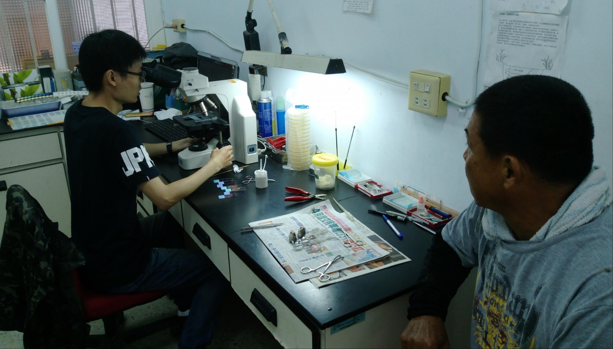 水產獸醫師檢驗養殖漁業水產發現，在季節轉換時容易感染寄生蟲。 高雄市動保處/提供