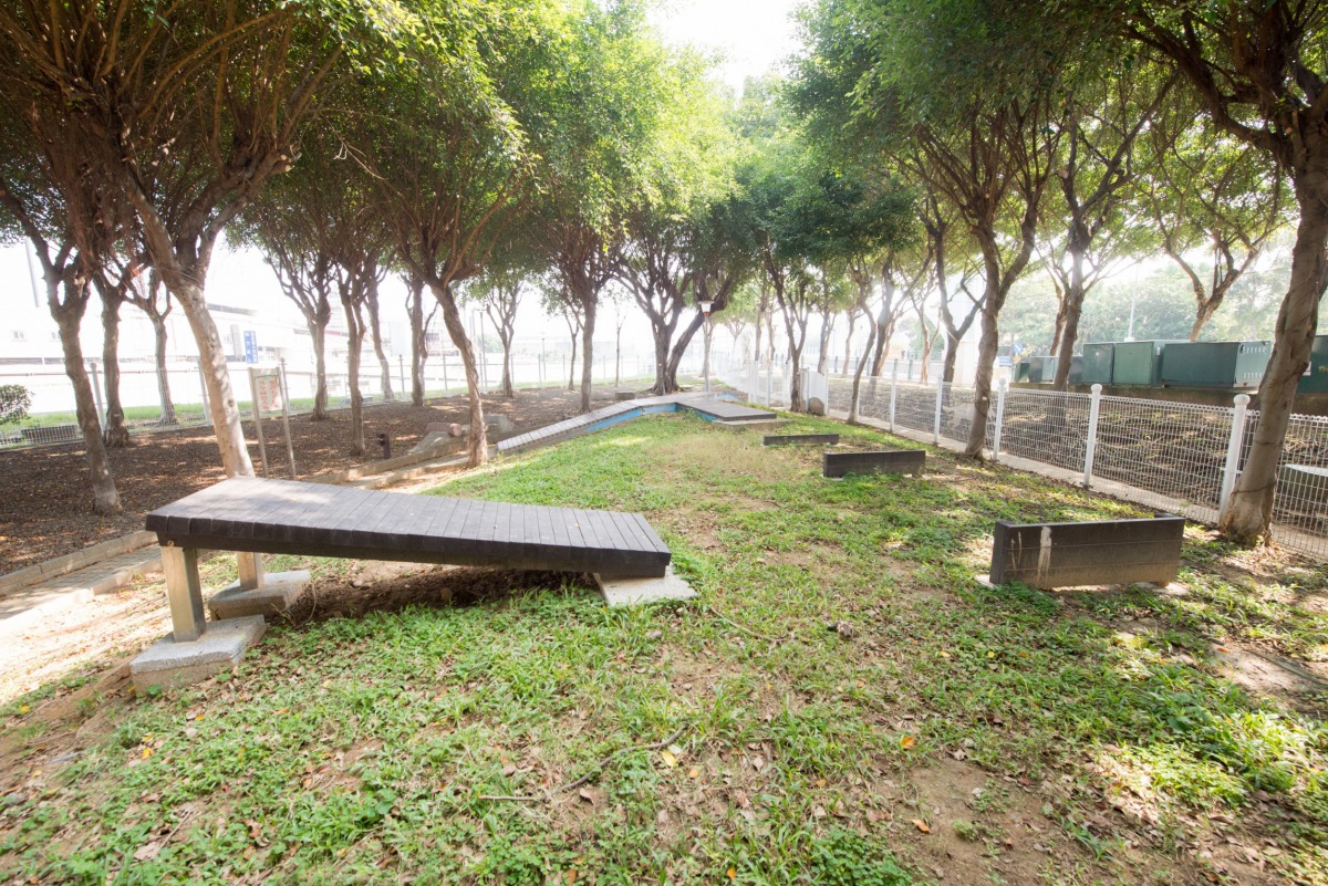 桃園經國公園內的寵物友善專區有各項供毛孩跳躍、玩耍的設施。 桃園市政府/提供