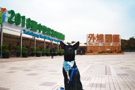 台中市政府推出「寵物旅遊手冊」,結合花博與各大設有友善動物空間的景點。 台中市動保處/提供