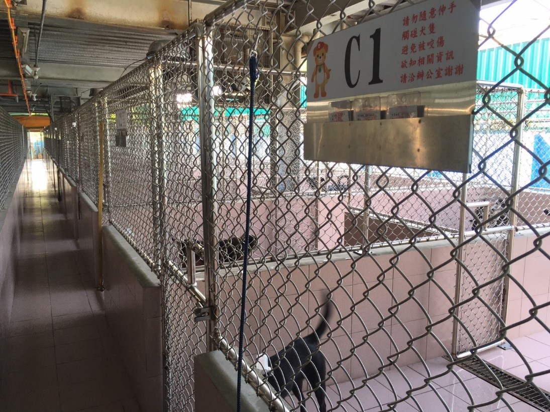 台南灣裡動物之家完成修繕後，將籠舍分為前後活動物區與休息區。 台南市動保處/提供