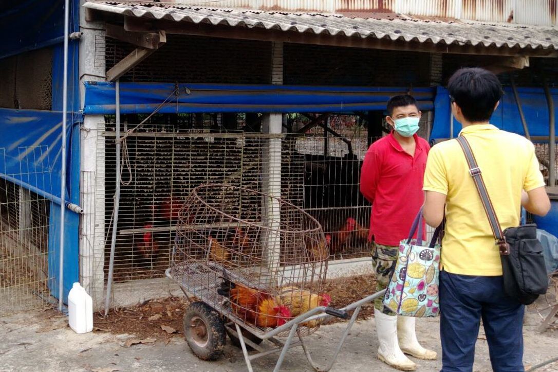 高雄市動保處為確保食安隨機抽驗養禽場之禽隻。 高雄市動保處/提供