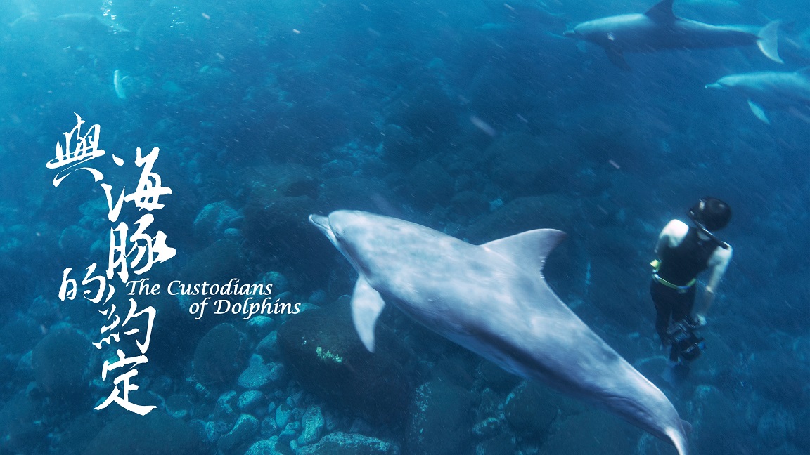 以4K高畫質與空拍及水下攝影技術拍攝的紀錄片《與海豚的約定》 導演簡毓群/提供