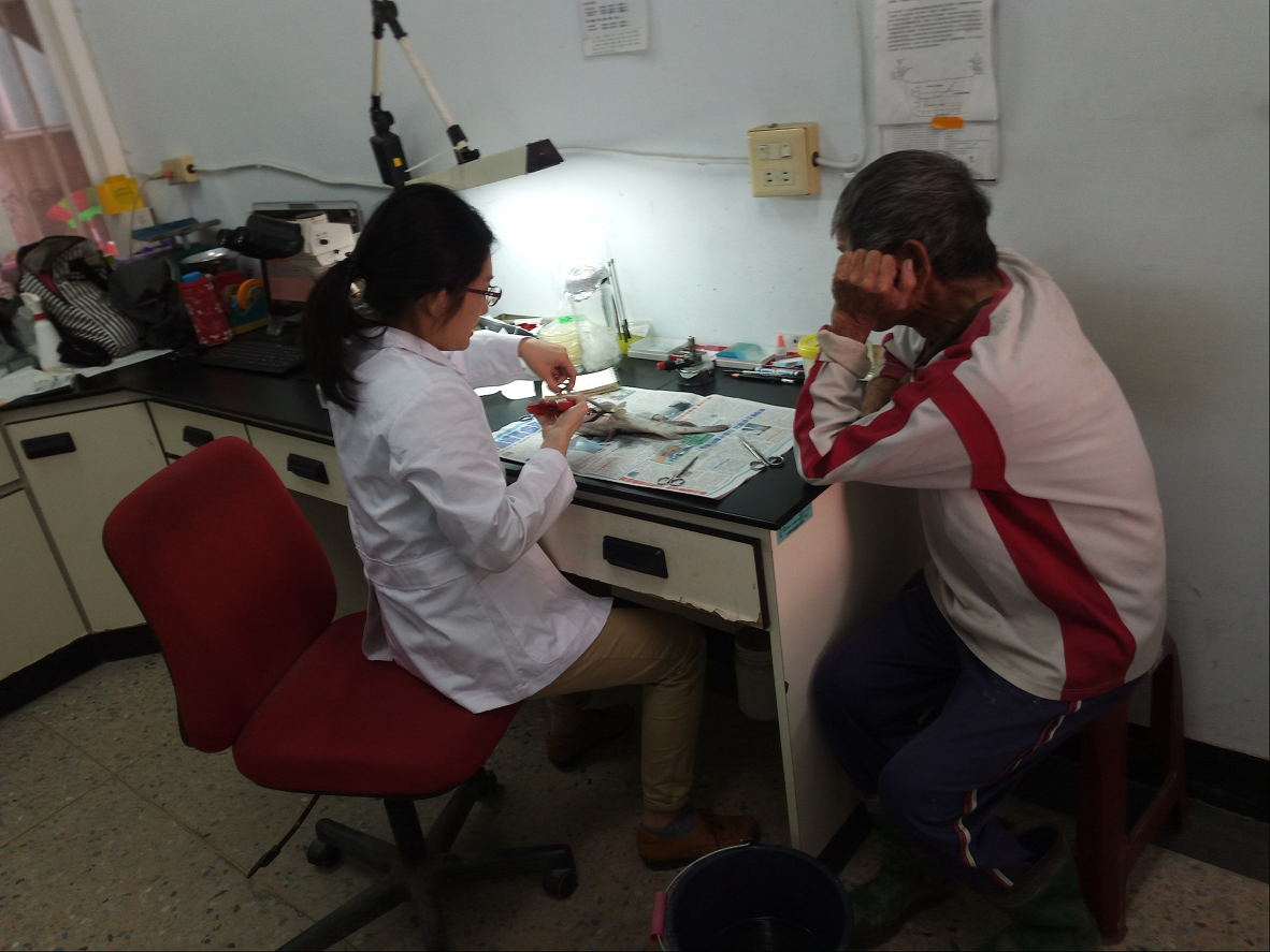 水產獸醫師為養殖戶檢驗魚隻。 高雄市動保處/提供