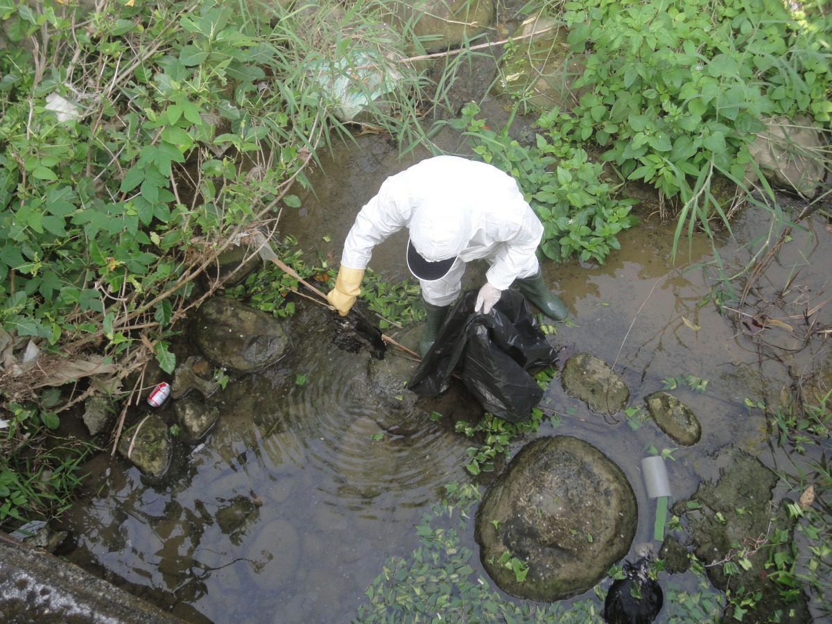 嘉義縣中埔鄉野溪遭人棄置雞隻屍體,確診為H5N2高病原性禽流感。 嘉義縣政府/提供