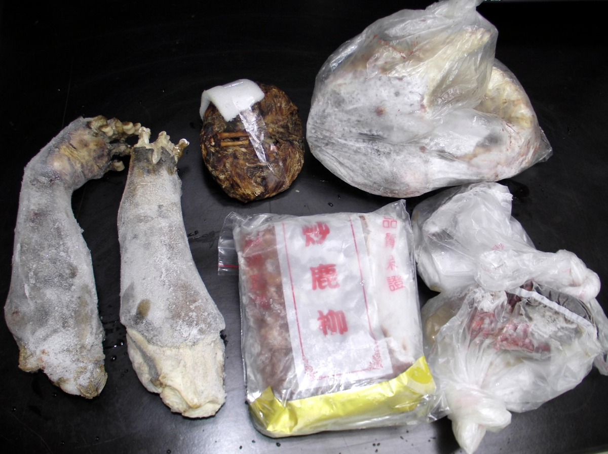 盜獵所製成產品包羅萬象，光從外觀很難分辨物種。 特生中心/提供