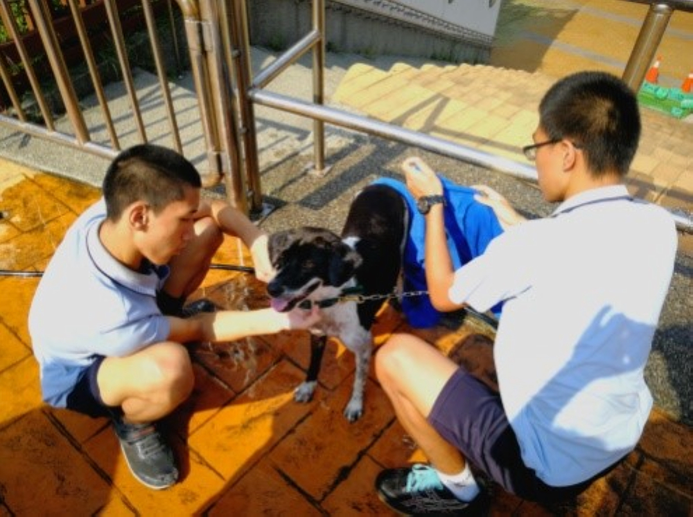 苗栗特教學校的學生動手替校犬洗澡。 教育部/提供