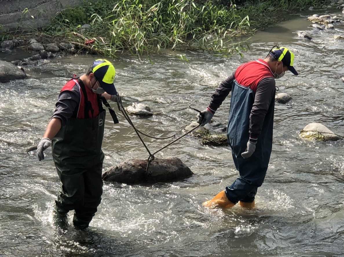 台中市外埔區電火溪發現疑似豬隻屍體,經確認是狗屍。 台中市動保處/提供
