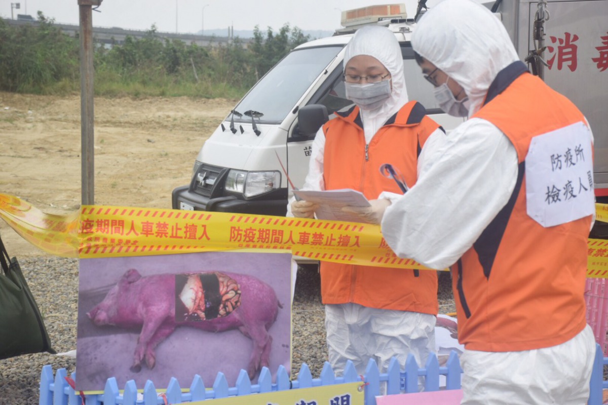 非洲豬瘟疫情來勢洶洶各地方政府都會舉辦演習來面對疫情。 圖為苗栗縣防疫演習 姚崇仁/攝