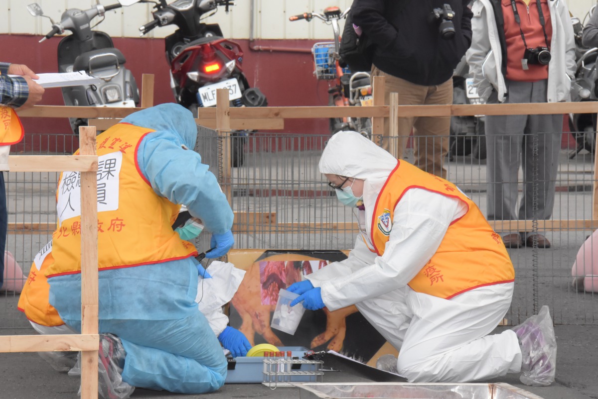 彰化縣防疫所舉行非洲豬瘟防疫模擬演習。 彰化縣政府/提供